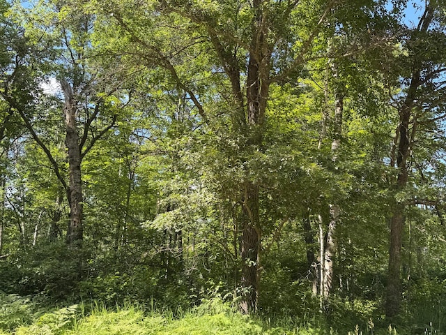 TBD Cedar St, Breezy Point, MN 56472