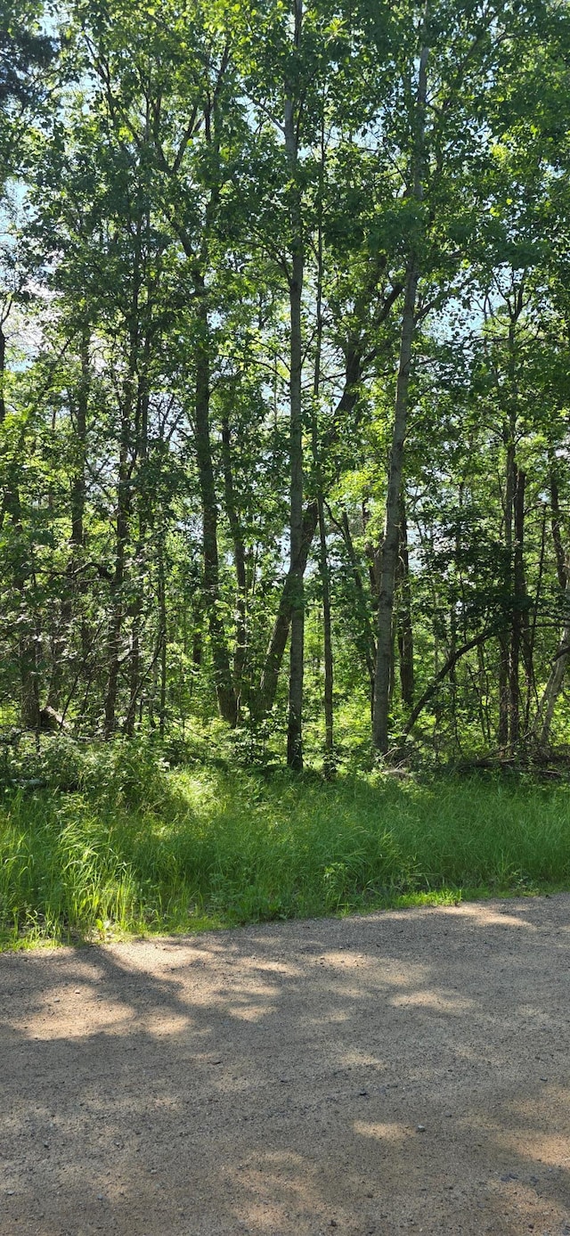 TBD Cedar St, Breezy Point, MN 56472