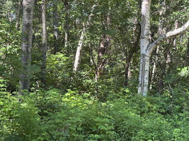 TBD Cedar St, Breezy Point, MN 56472