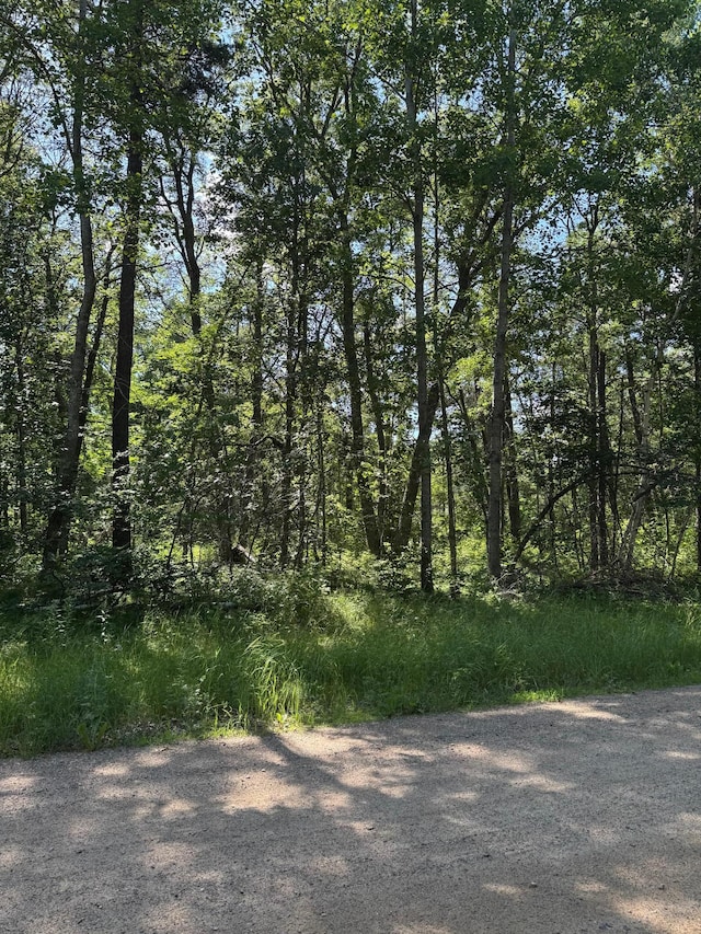 TBD Cedar St, Breezy Point, MN 56472