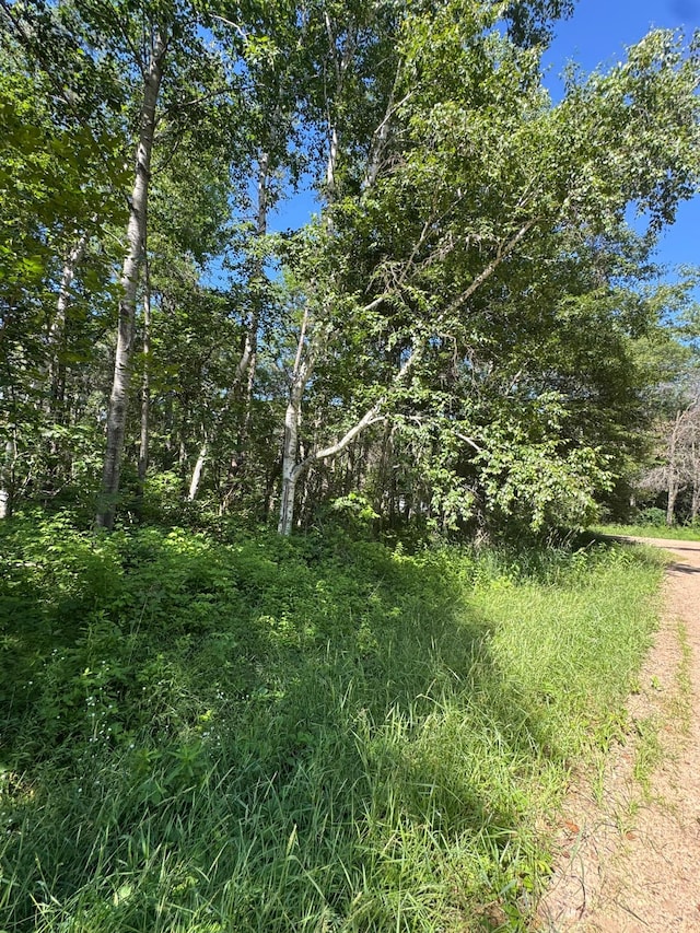 TBD Cedar St, Breezy Point, MN 56472