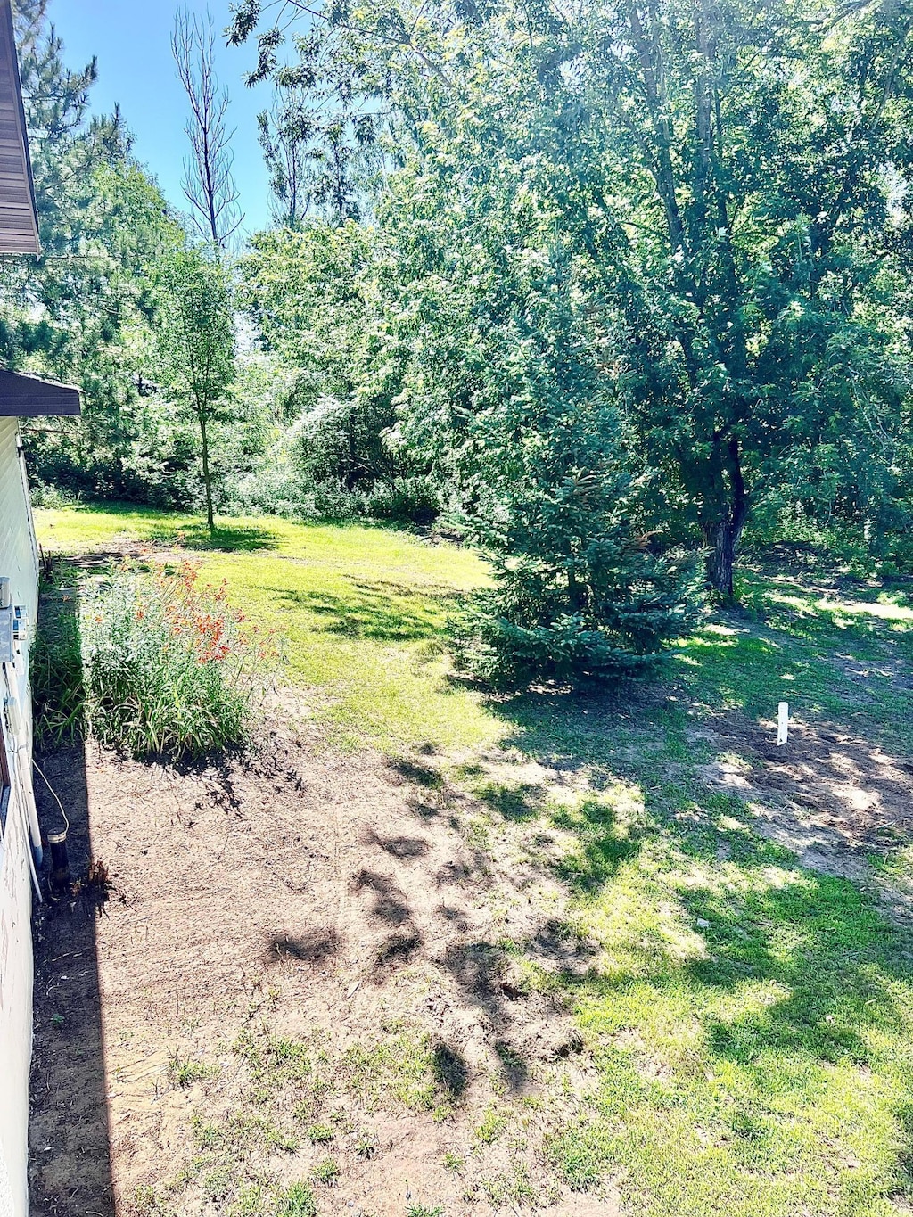 2894 Long Lake Dr NW, Stanford Twp, MN 55040 - view of yard