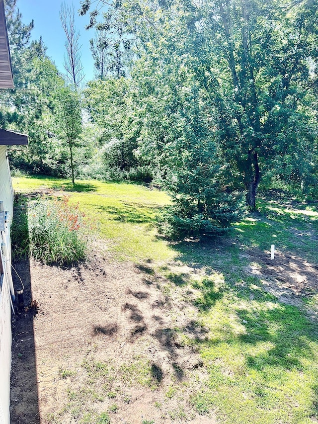 2894 Long Lake Dr NW, Stanford Twp, MN 55040 - view of yard