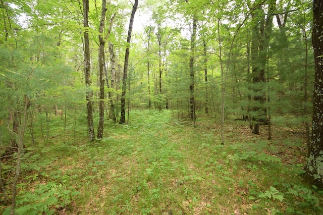 TBD Helsene Rd, Webster, WI 54893 - photo 1