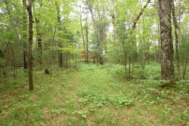 TBD Helsene Rd, Webster, WI 54893 - photo 2