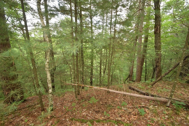 TBD Helsene Rd, Webster, WI 54893 - photo 10