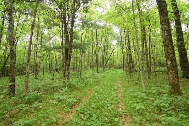 TBD Helsene Rd, Webster, WI 54893 - photo 15