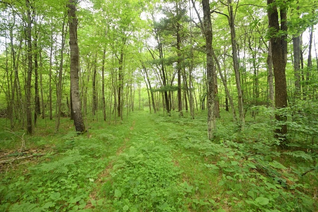 TBD Helsene Rd, Webster, WI 54893 - photo 16
