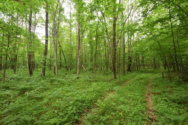 TBD Helsene Rd, Webster, WI 54893 - photo 17