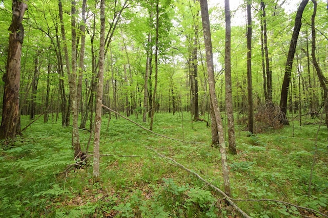 TBD Helsene Rd, Webster, WI 54893 - photo 19