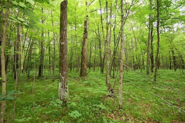 TBD Helsene Rd, Webster, WI 54893 - photo 20
