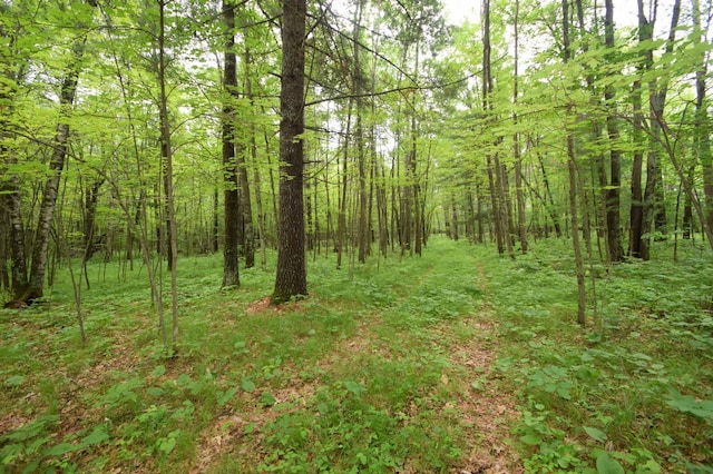 TBD Helsene Rd, Webster, WI 54893 - photo 21
