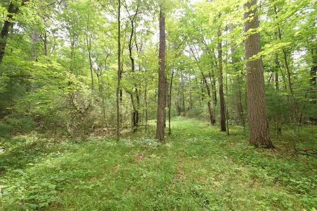 TBD Helsene Rd, Webster, WI 54893 - photo 22