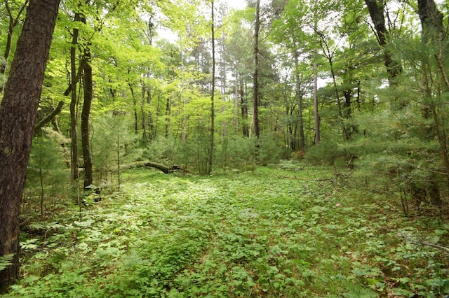 TBD Helsene Rd, Webster, WI 54893 - photo 23