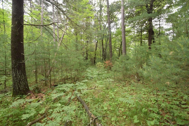 TBD Helsene Rd, Webster, WI 54893 - photo 24