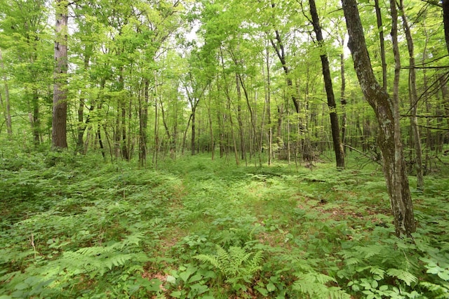 TBD Helsene Rd, Webster, WI 54893 - photo 25