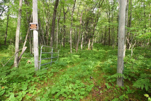 TBD Helsene Rd, Webster, WI 54893 - photo 26