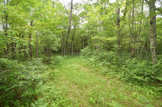 TBD Helsene Rd, Webster, WI 54893 - photo 28