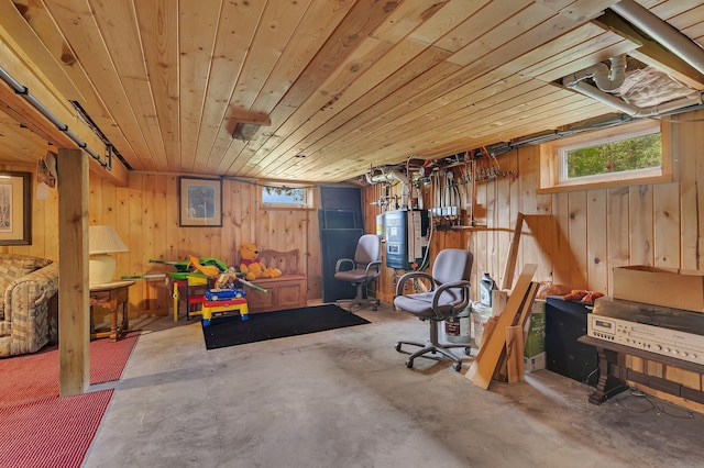 38071 248th St, Hillman, MN 56338 - workout room with wooden walls, plenty of natural light, wood ceiling, and water heater