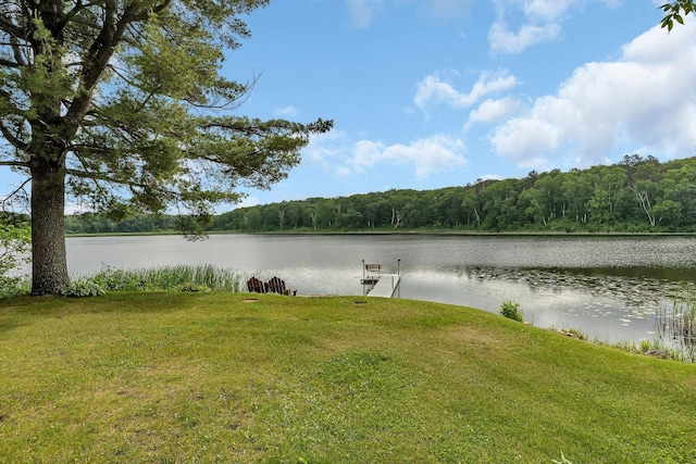 38071 248th St, Hillman, MN 56338 - water view with a heavily wooded area