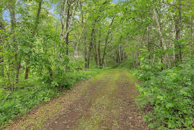 38071 248th St, Hillman, MN 56338 - view of tree filled area