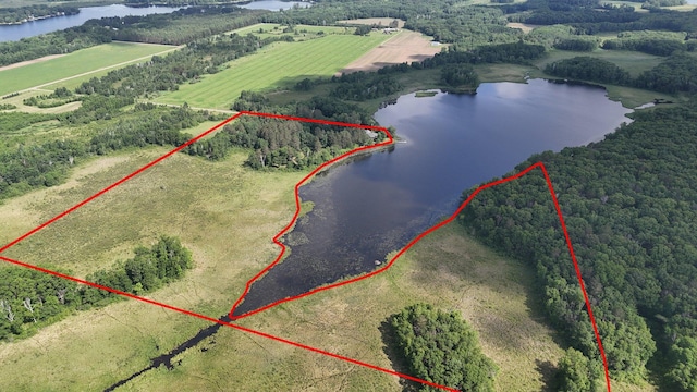 38071 248th St, Hillman, MN 56338 - overview of rural landscape featuring a large body of water and property boundaries highlighted