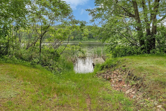 38071 248th St, Hillman, MN 56338 - photo 43
