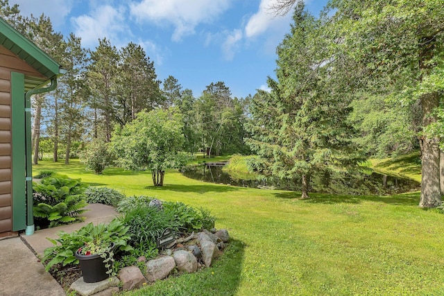 38071 248th St, Hillman, MN 56338 - photo 67