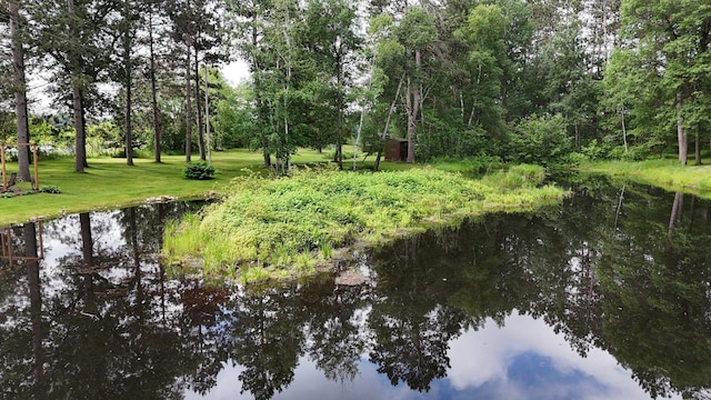 38071 248th St, Hillman, MN 56338 - photo 77