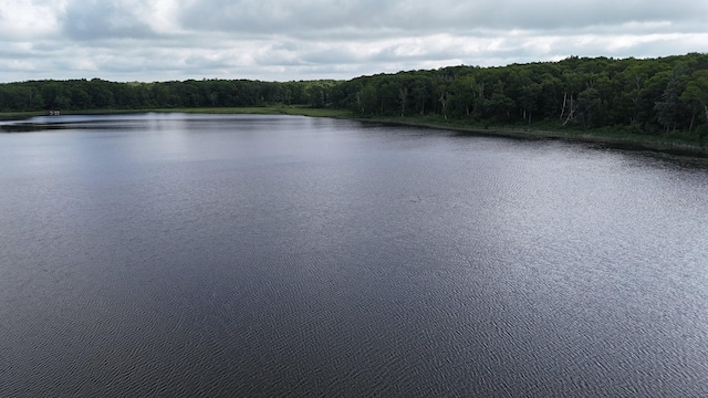 38071 248th St, Hillman, MN 56338 - photo 86