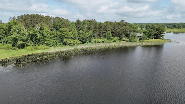 38071 248th St, Hillman, MN 56338 - photo 102