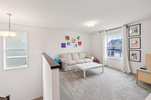 146 Maple Ter, Waconia, MN 55387 - carpeted living room featuring baseboards