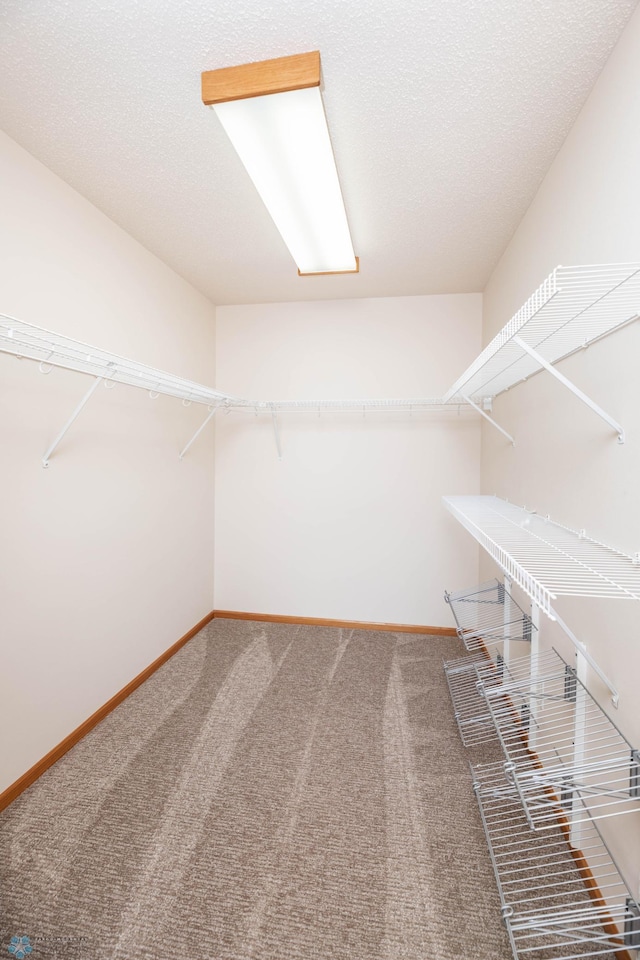 210 1st St, Arthur, ND 58006 - walk in closet featuring carpet