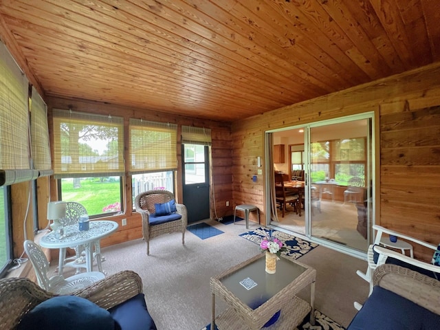 1804 7th St SW, Willmar, MN 56201 - living room featuring wood walls, carpet, and wooden ceiling