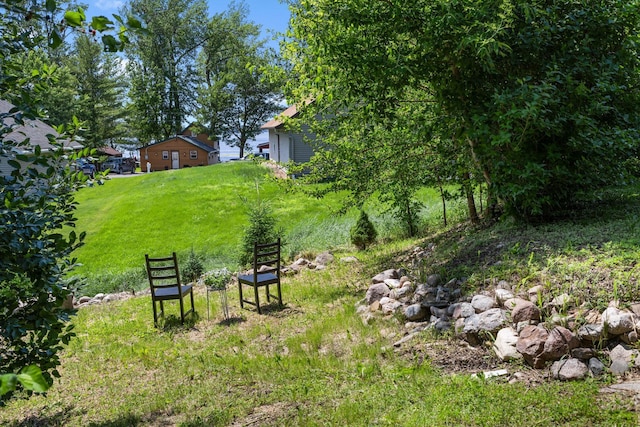 721 1st St N, Waterville, MN 56096 - view of yard