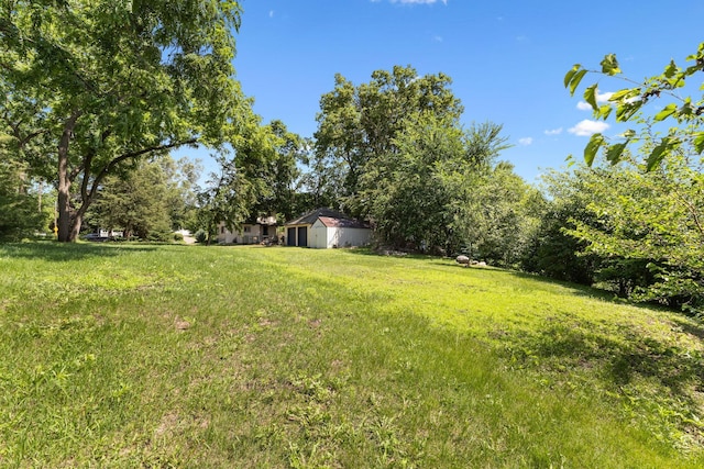 721 1st St N, Waterville, MN 56096 - view of grassy yard featuring a storage shed