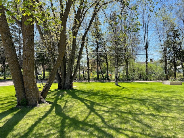 912 3rd St NE, Roseau, MN 56751 - view of grassy yard
