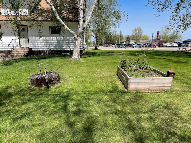 912 3rd St NE, Roseau, MN 56751 - view of grassy yard with a vegetable garden and entry steps