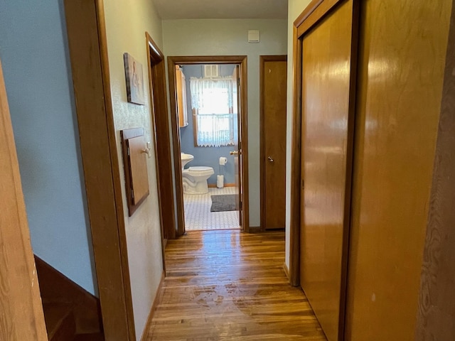 912 3rd St NE, Roseau, MN 56751 - hall featuring wood finished floors and baseboards