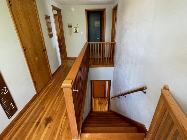 912 3rd St NE, Roseau, MN 56751 - staircase featuring wood finished floors