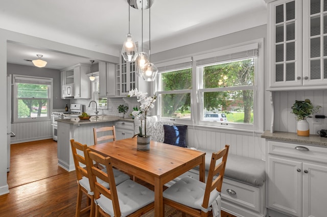 6045 Oakland Ave, Minneapolis, MN 55417 - dining room with dark wood-style floors