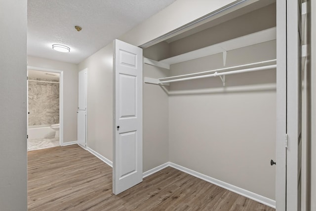 4371 Wilshire Blvd Unit 107, Mound, MN 55364 - view of closet