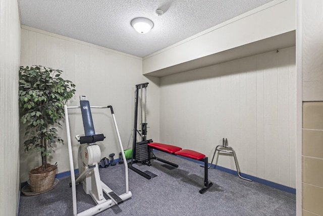 4371 Wilshire Blvd Unit 107, Mound, MN 55364 - exercise area with carpet flooring and a textured ceiling