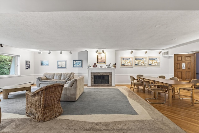4371 Wilshire Blvd Unit 107, Mound, MN 55364 - living area with track lighting, wood finished floors, a textured ceiling, and a fireplace with flush hearth