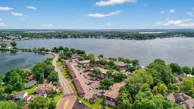 4371 Wilshire Blvd Unit 107, Mound, MN 55364 - drone / aerial view of a large body of water