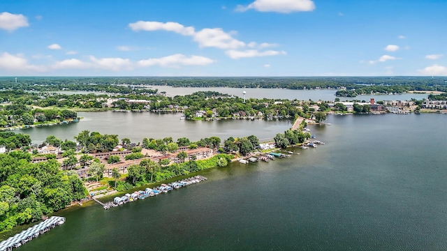 4371 Wilshire Blvd Unit 107, Mound, MN 55364 - drone / aerial view of a large body of water