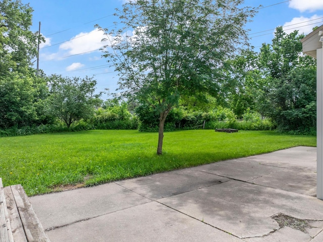 1622 3rd St NE, Rochester, MN 55906 - view of green lawn
