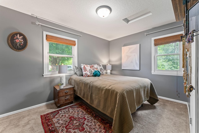 1622 3rd St NE, Rochester, MN 55906 - bedroom featuring carpet flooring, multiple windows, and a textured ceiling