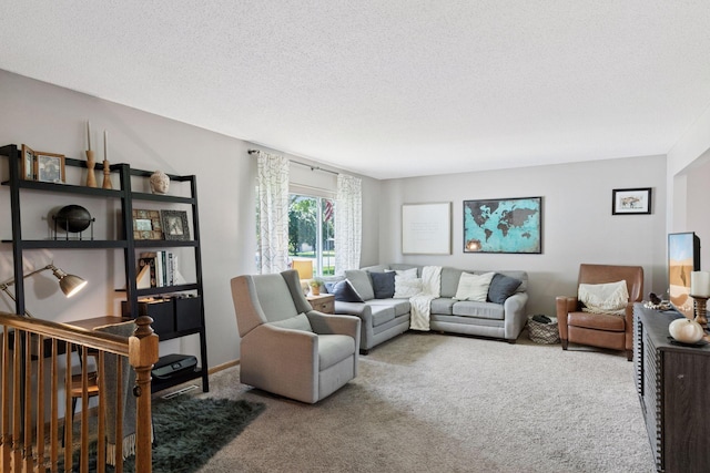 704 Lexington Ave N, New Prague, MN 56071 - living room with carpet and a textured ceiling
