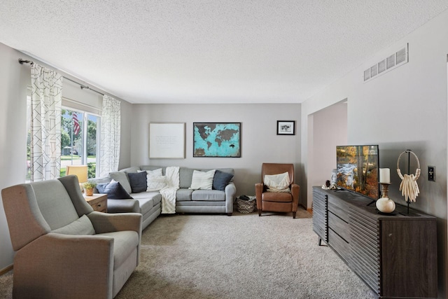 704 Lexington Ave N, New Prague, MN 56071 - carpeted living area featuring a textured ceiling